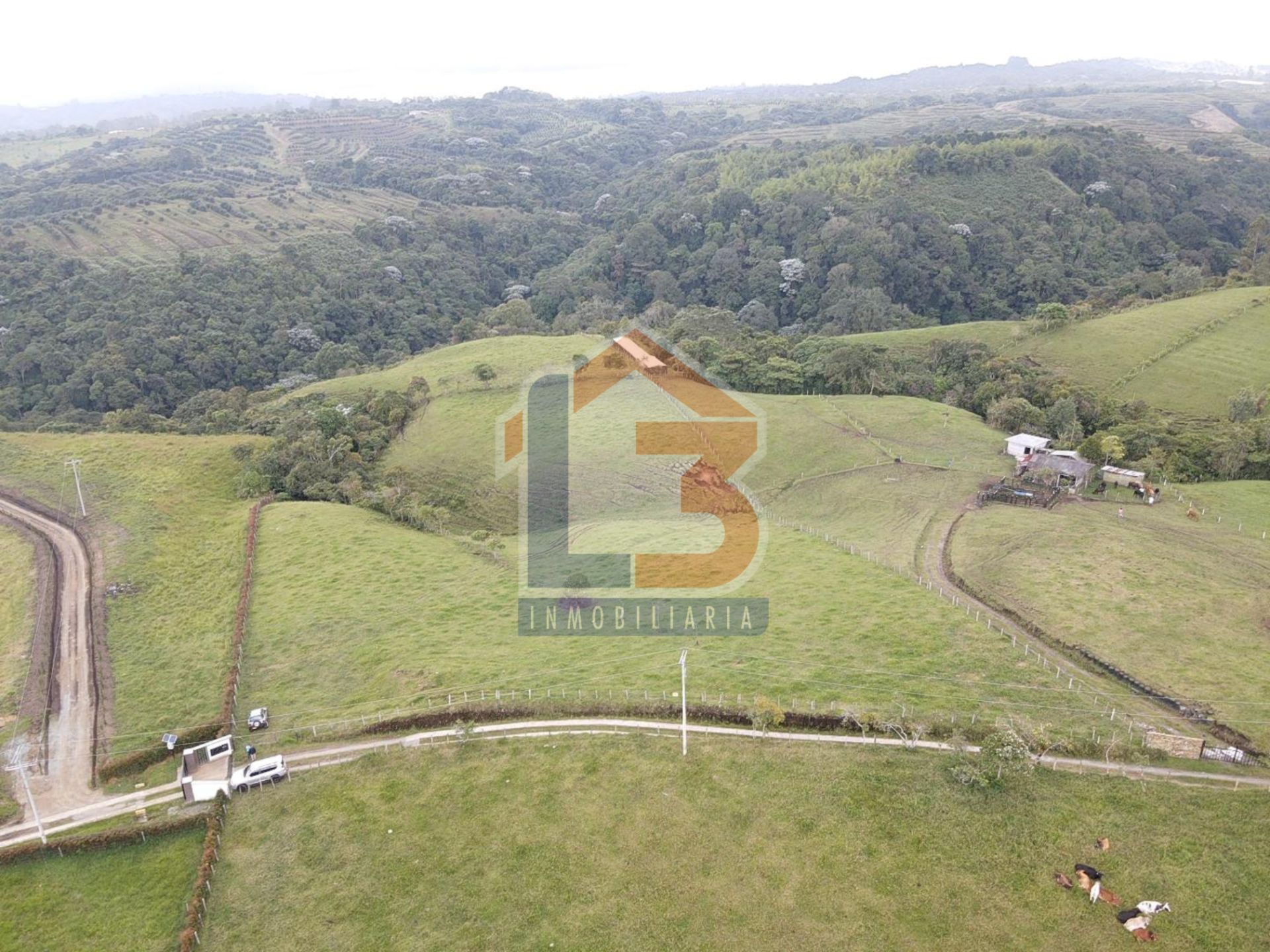 SE VENDE LOTE CIRCASIA (29).jpg
