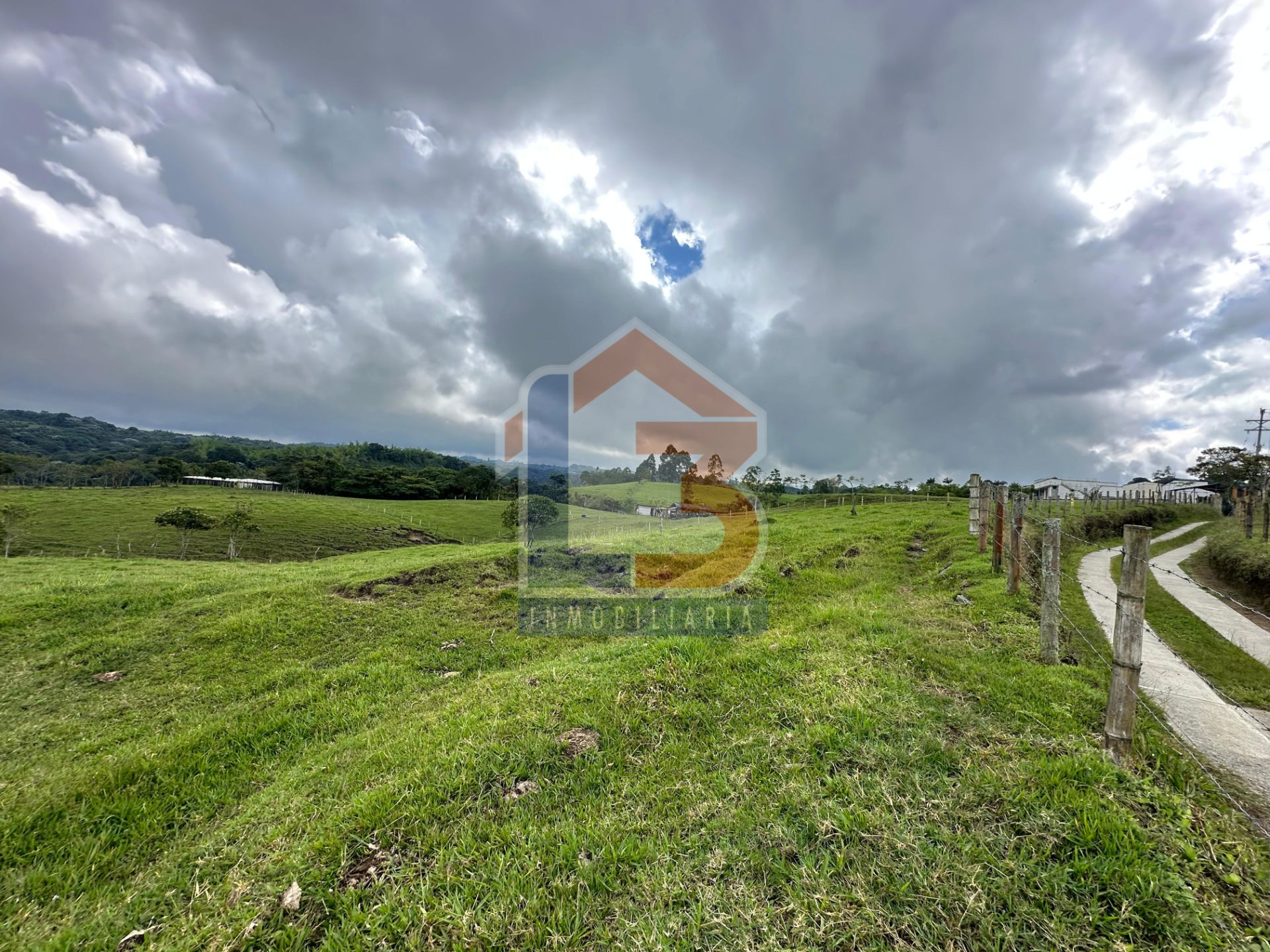 SE VENDE LOTE CIRCASIA (22).jpg