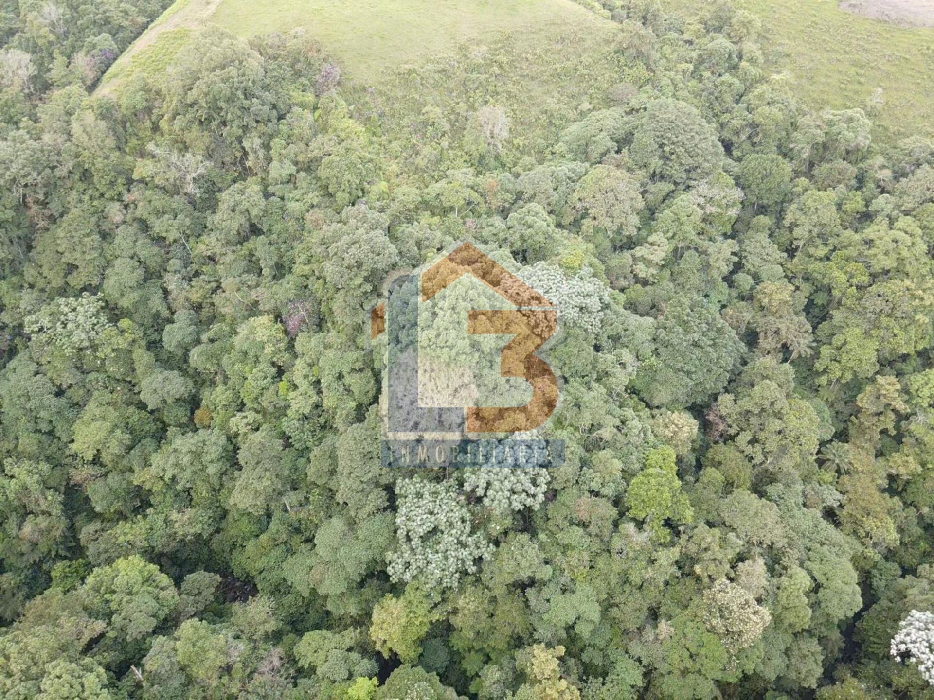 SE VENDE LOTE CIRCASIA (25).jpg