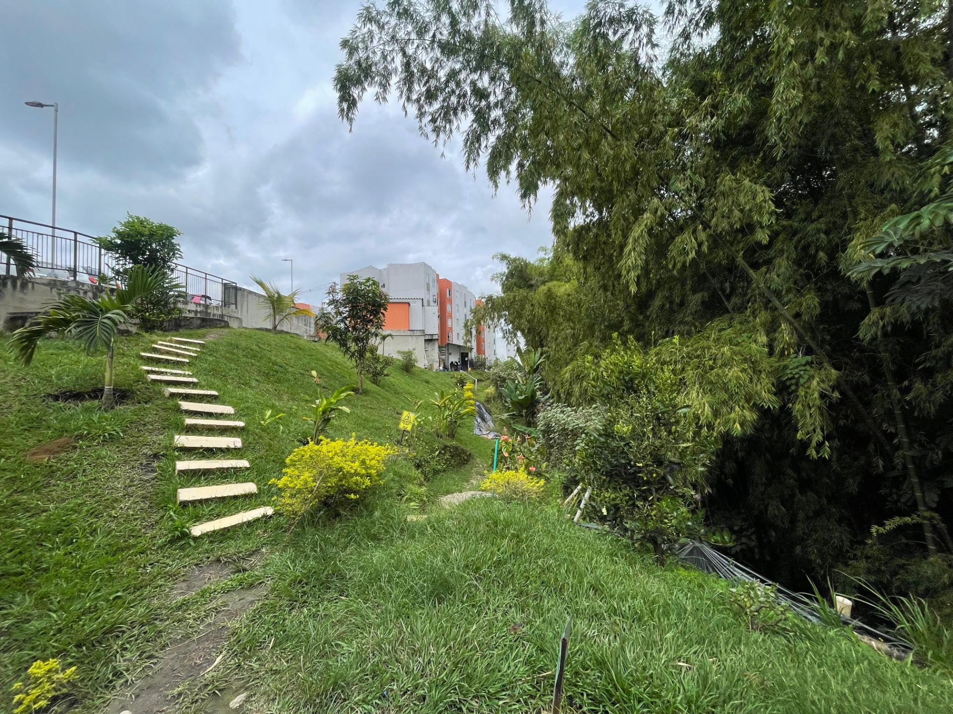 ENTRE LOMAS 302 TORRE 5 (23).jpeg