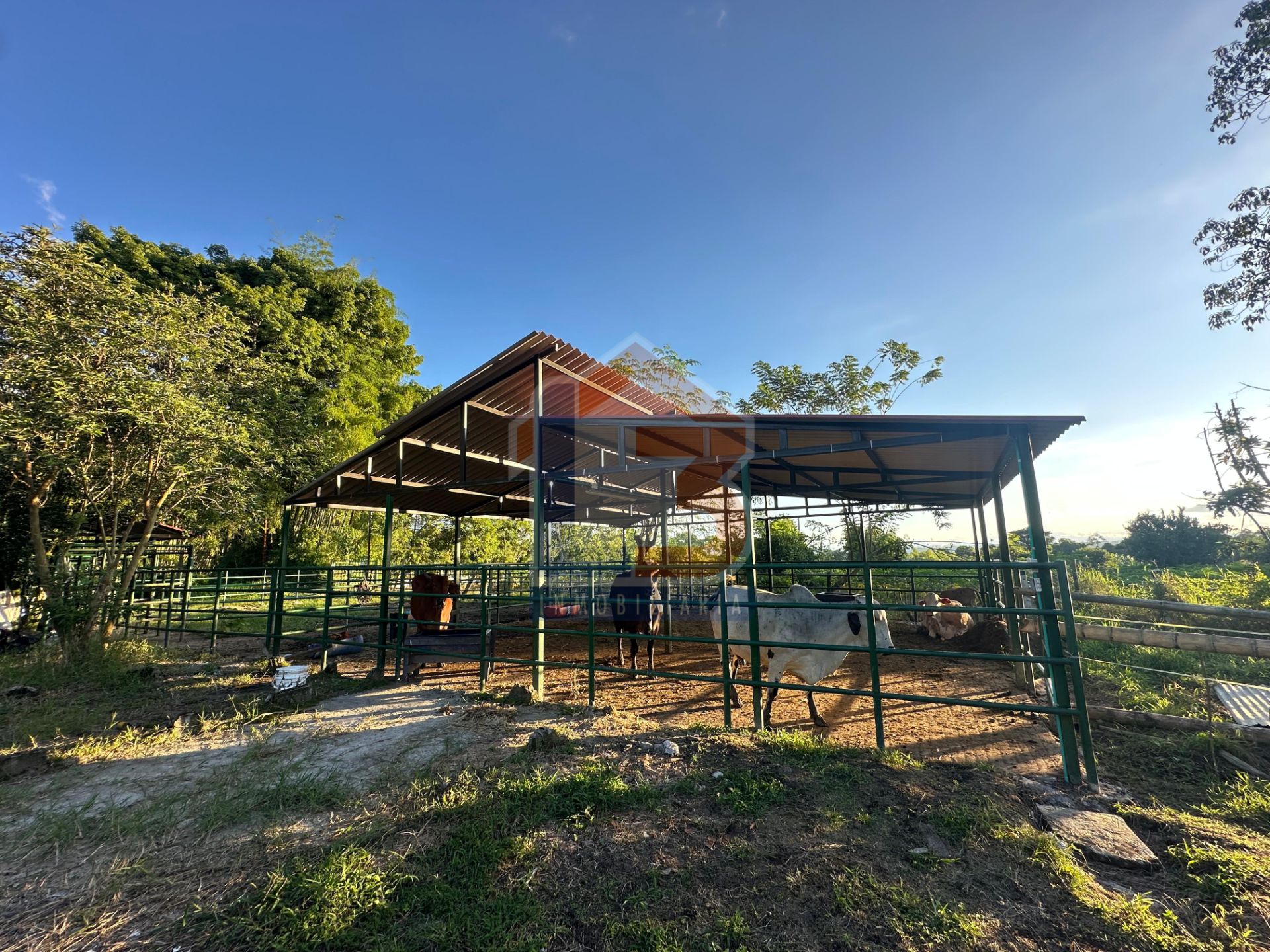 SE VENDE FINCA PUERTO ESPEJO-PUEBLO TAPAO (14).jpg