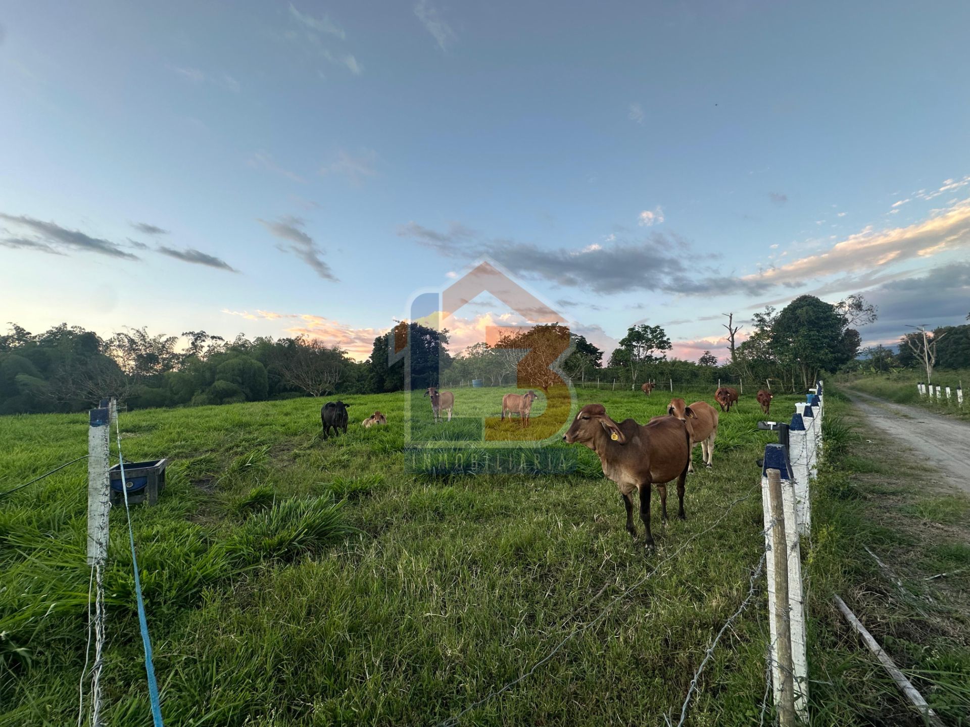 SE VENDE FINCA PUERTO ESPEJO-PUEBLO TAPAO (15).jpg