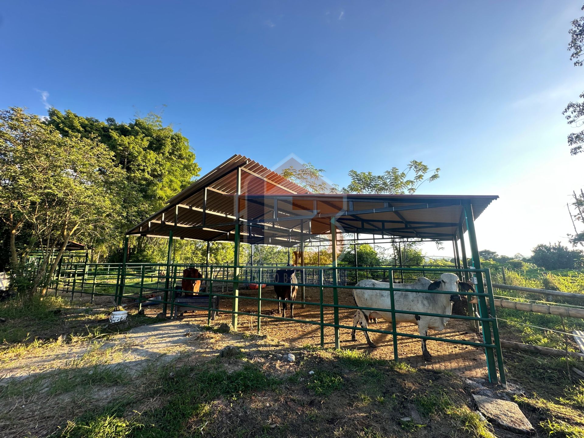 SE VENDE FINCA PUERTO ESPEJO-PUEBLO TAPAO (16).jpg