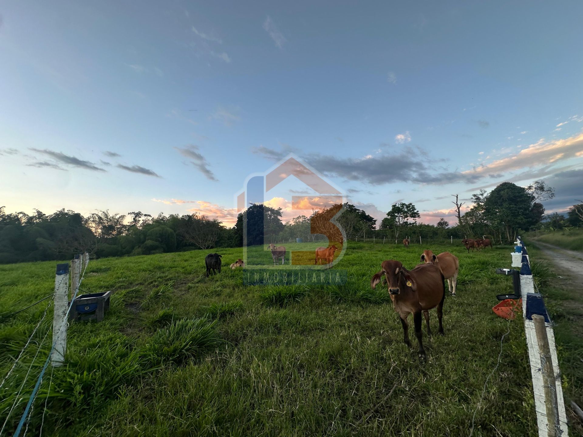 SE VENDE FINCA PUERTO ESPEJO-PUEBLO TAPAO (18).jpg