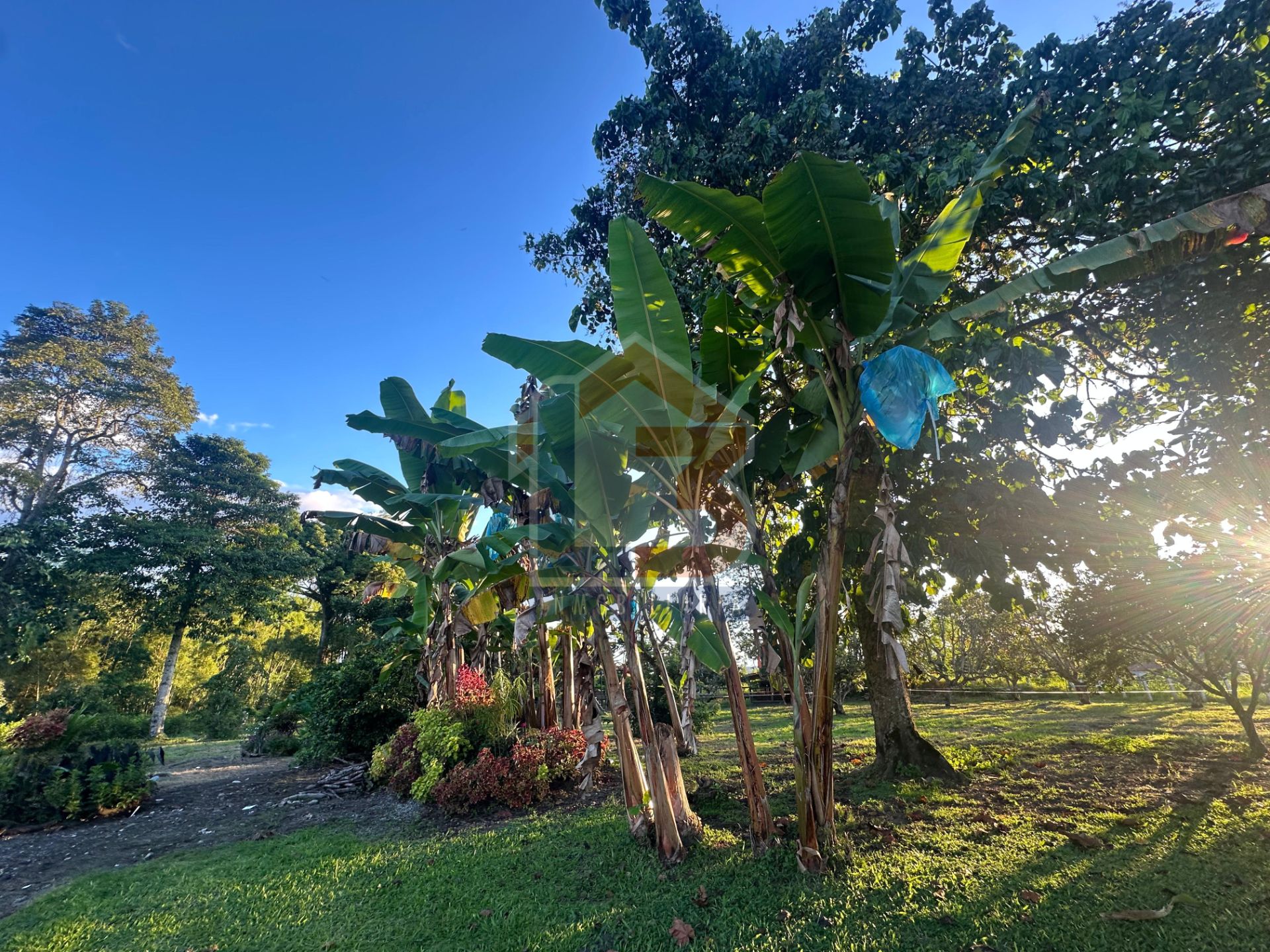 SE VENDE FINCA PUERTO ESPEJO-PUEBLO TAPAO (21).jpg