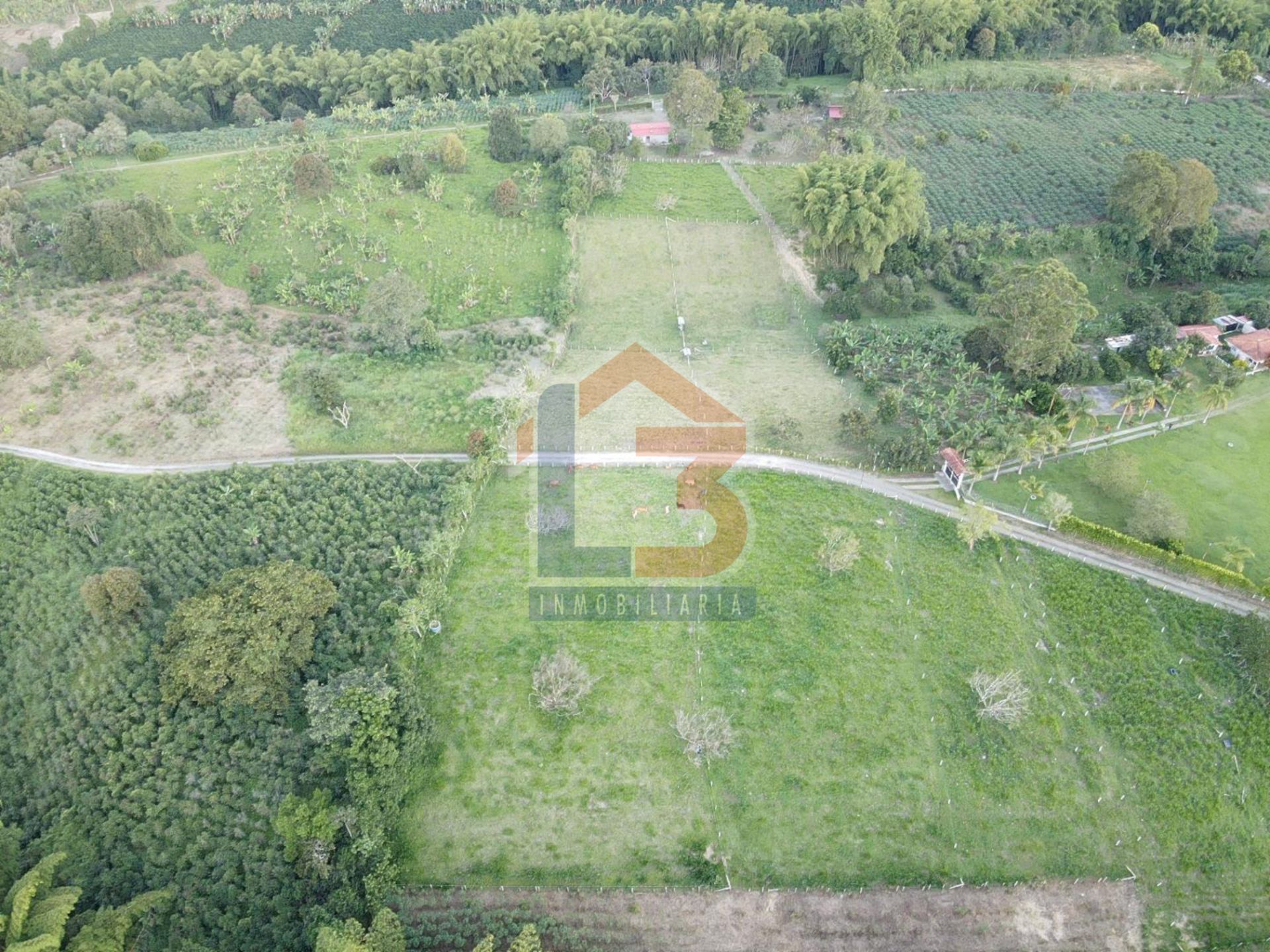 SE VENDE FINCA PUERTO ESPEJO-PUEBLO TAPAO (23).jpg
