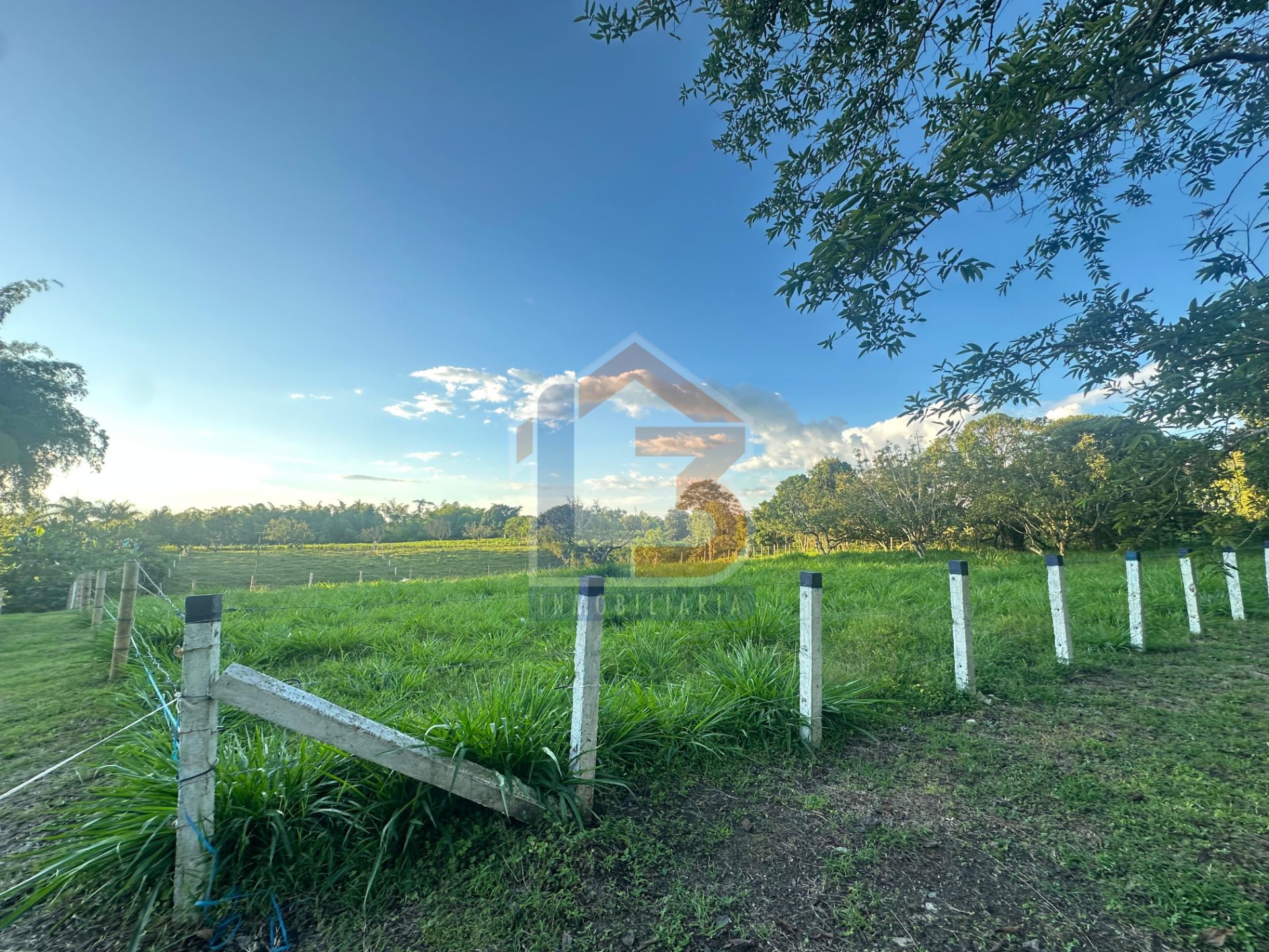 SE VENDE FINCA PUERTO ESPEJO-PUEBLO TAPAO (24).jpg