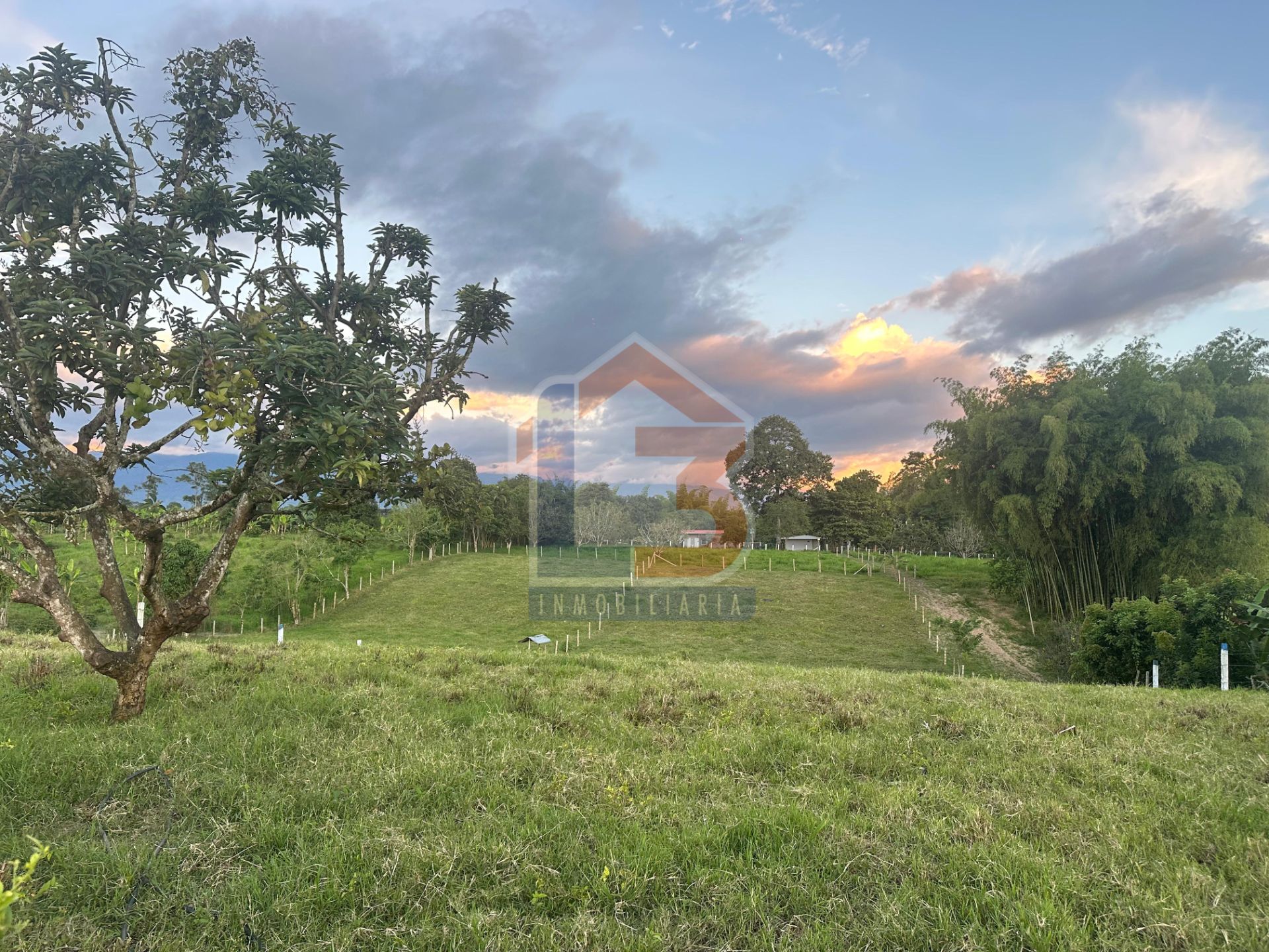 SE VENDE FINCA PUERTO ESPEJO-PUEBLO TAPAO (29).jpg