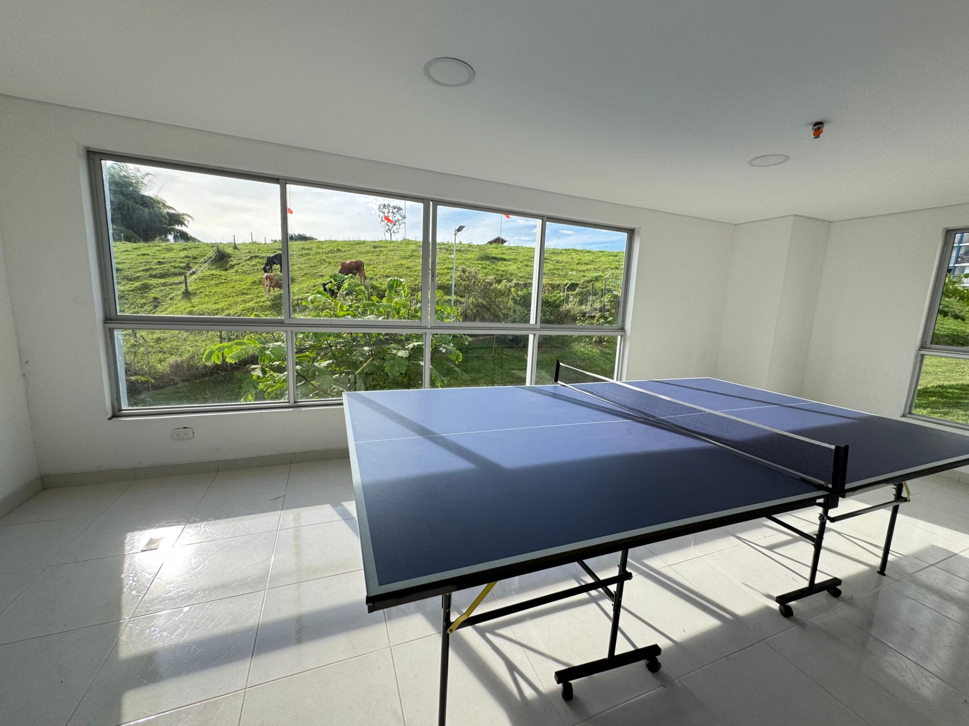 hermoso apartaestudio amoblado en av centenario  (75).jpg
