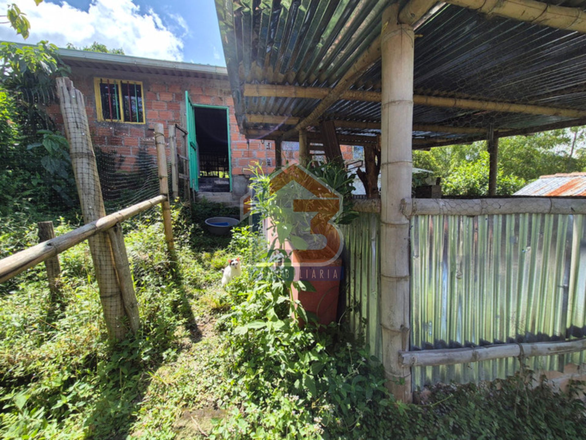 FINCA FILANDIA  (22).jpg