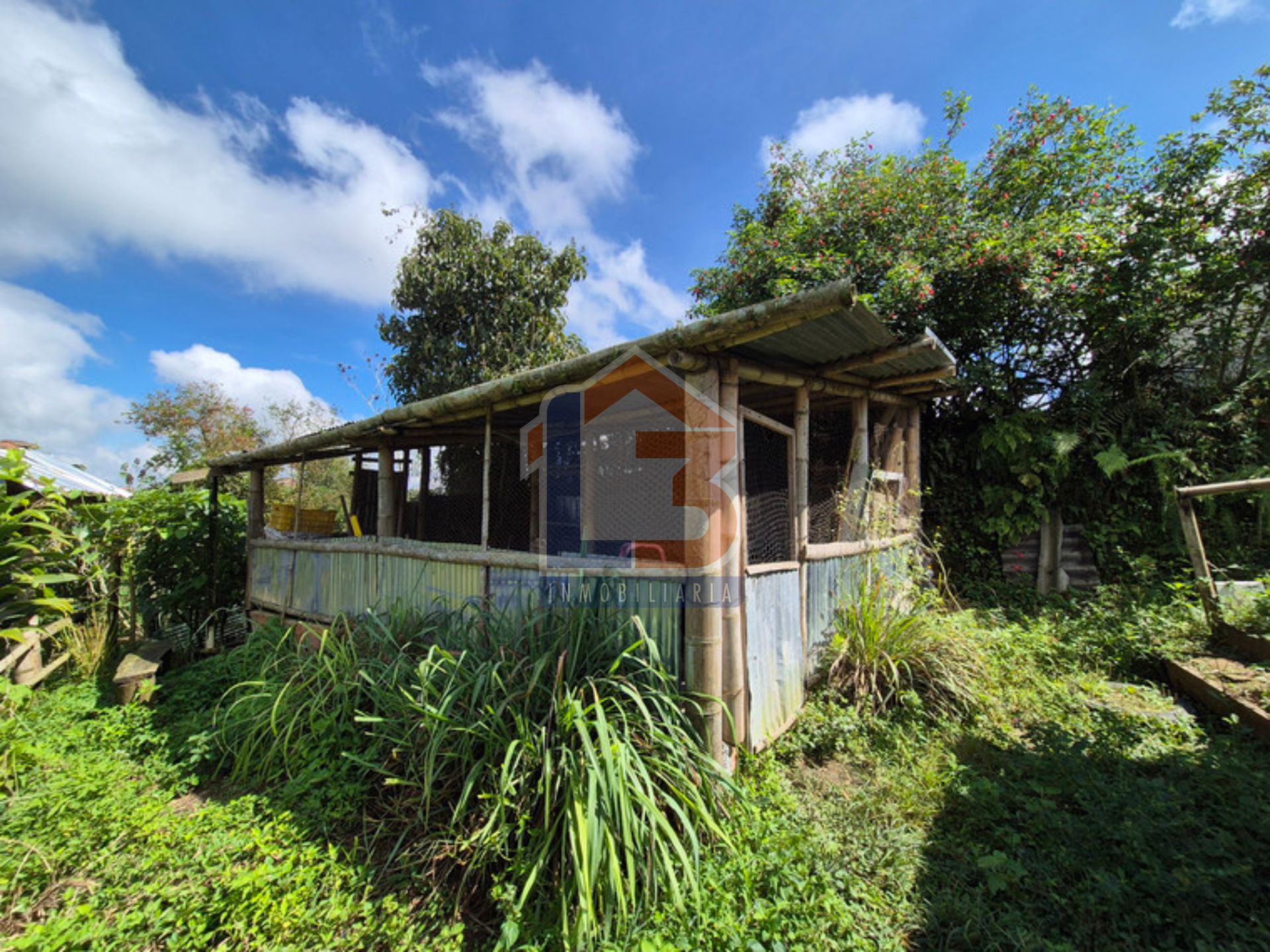 FINCA FILANDIA  (24).jpg