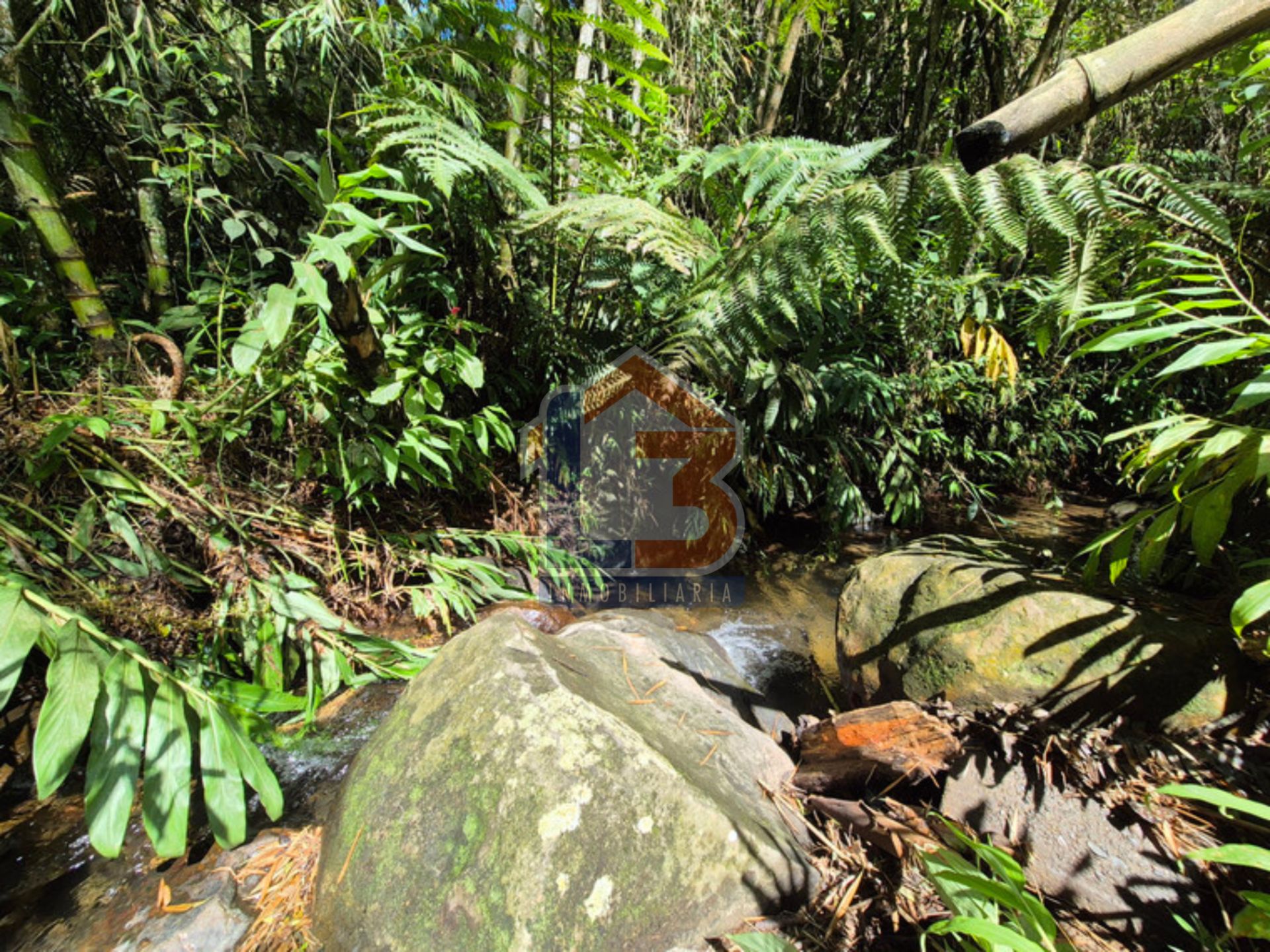 FINCA FILANDIA  (28).jpg