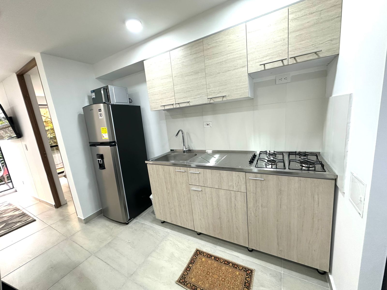 APARTAMENTO 201 HITO 18 (11).jpg