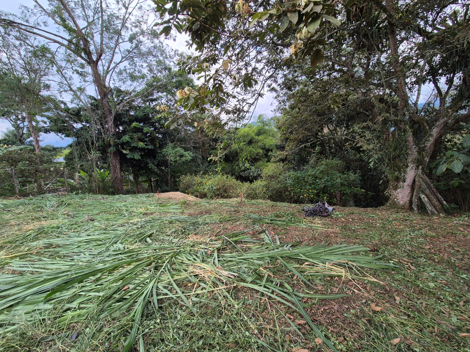 SE VENDE LOTE EN AV. CENTENARIO 15..jpg