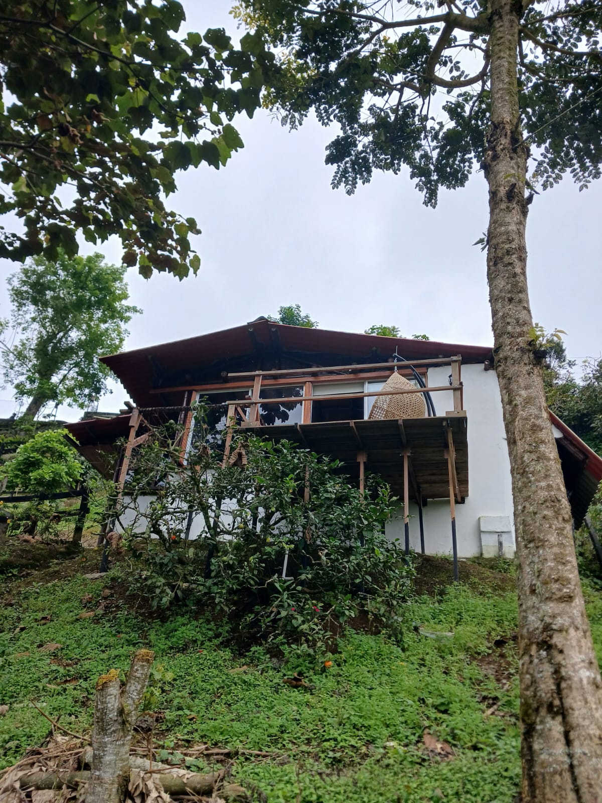 SE VENDE FINCA EN PEREIRA  1..jpg