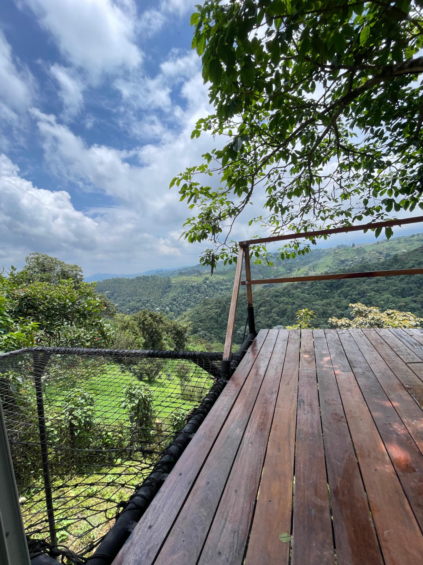SE VENDE FINCA EN PEREIRA  8..jpg