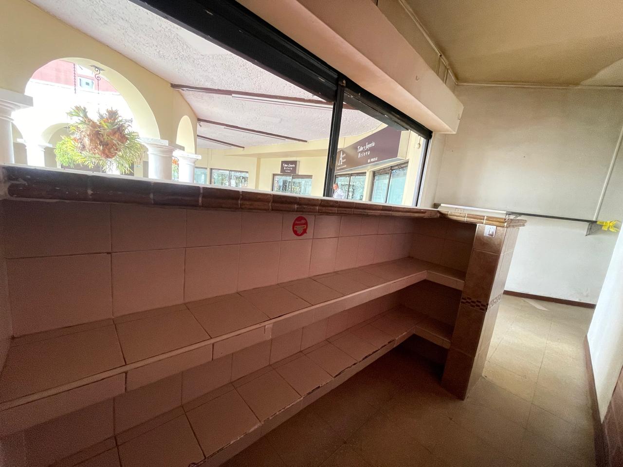 15. LOCAL ED EL BOSQUE (5).jpeg