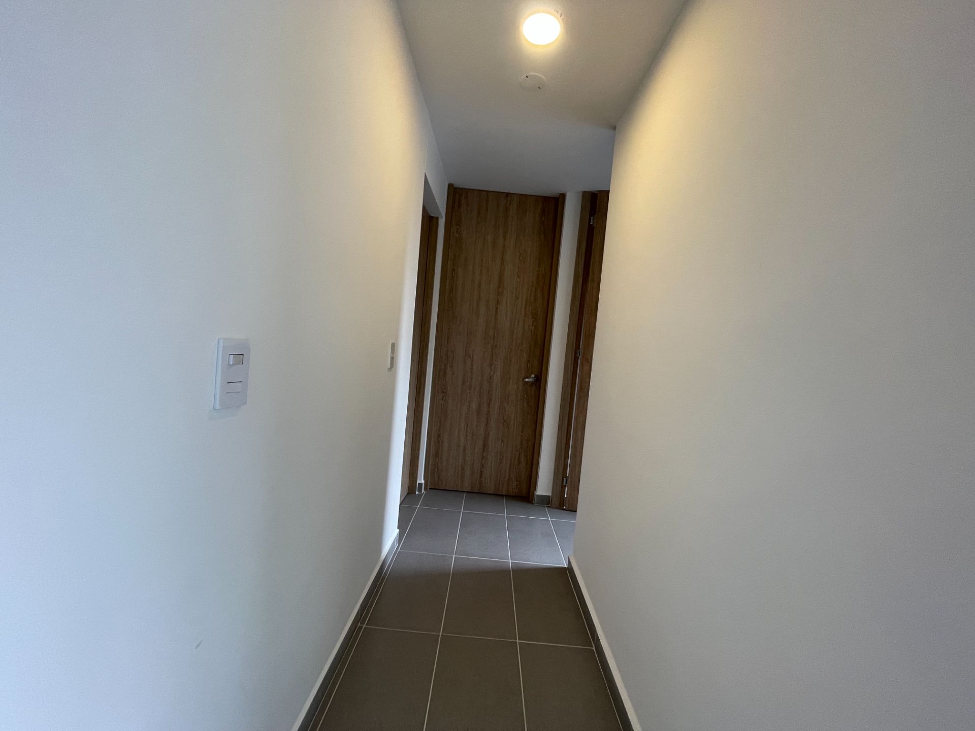 APTO ZONATA (12).JPG