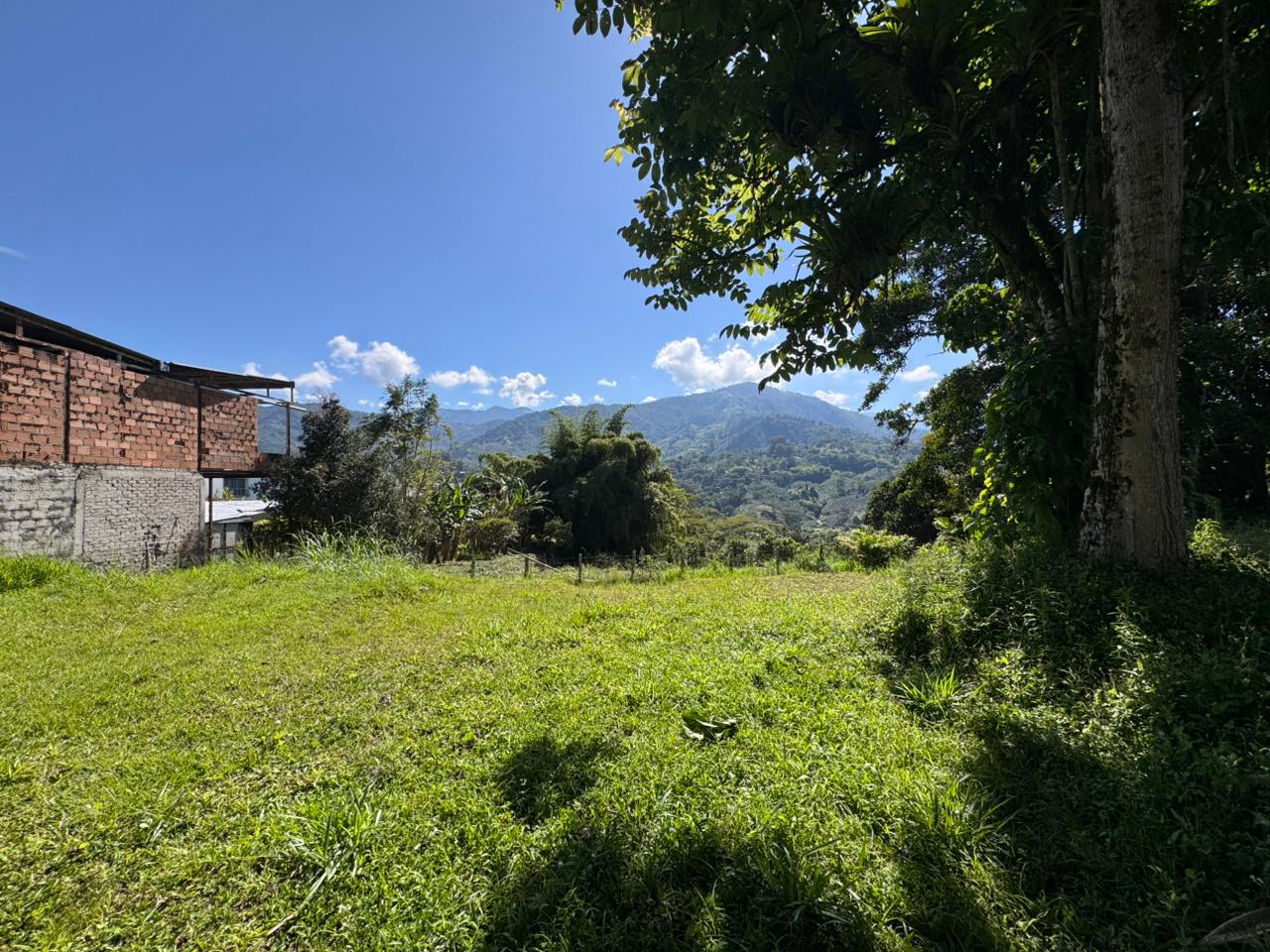 WhatsApp Image 2025-12-13 at 9.42.17 AM.jpeg