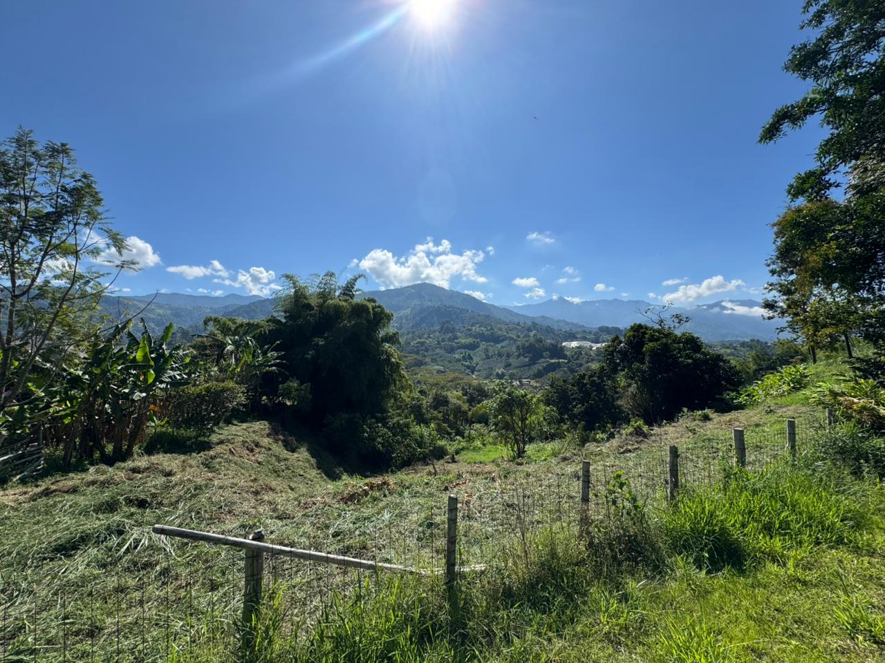 WhatsApp Image 2025-12-13 at 9.42.15 AM.jpeg