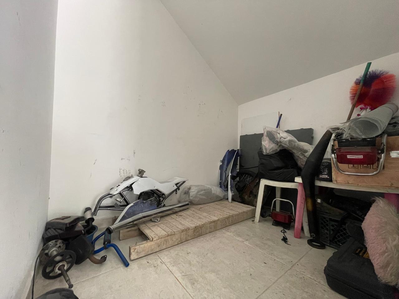 Local Circasia (3).jpeg