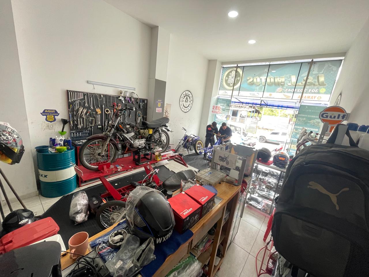 Local Circasia (5).jpeg