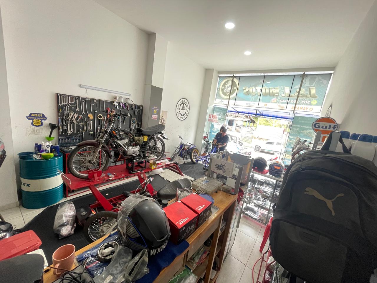 Local Circasia (7).jpeg