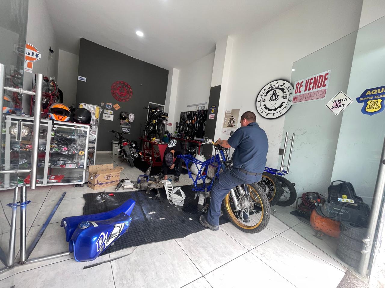 Local Circasia (10).jpeg