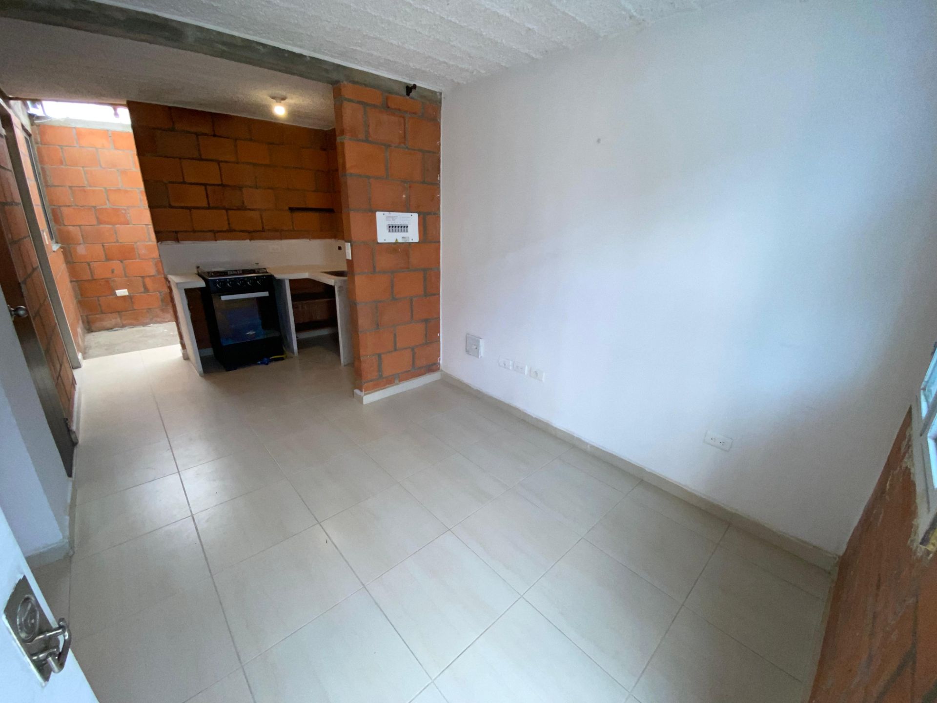 entre verdes (1).jpeg