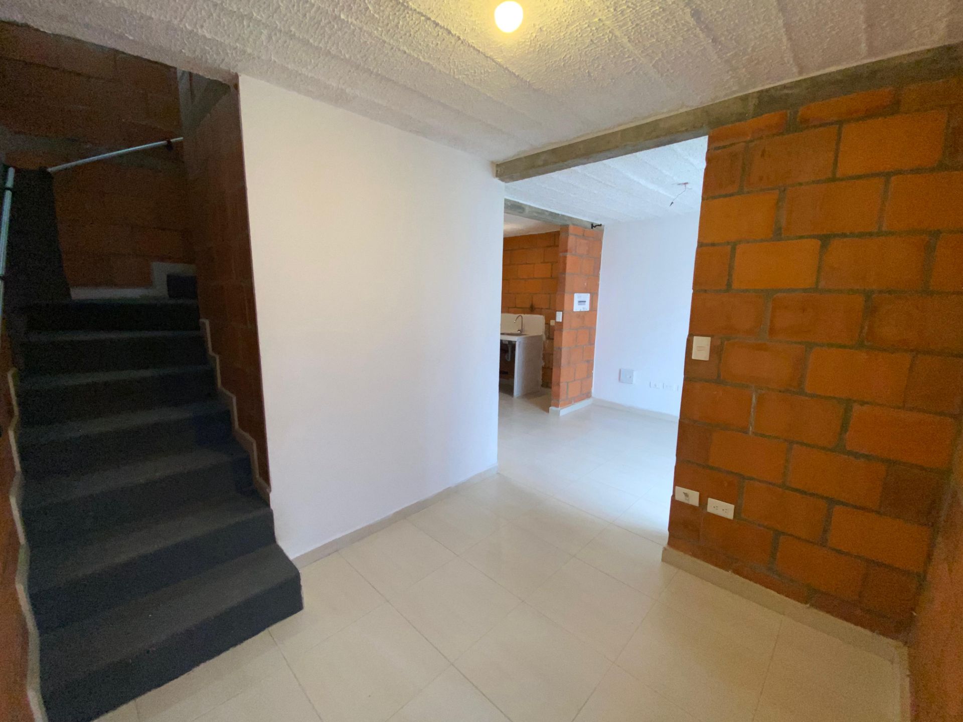 entre verdes (3).jpeg