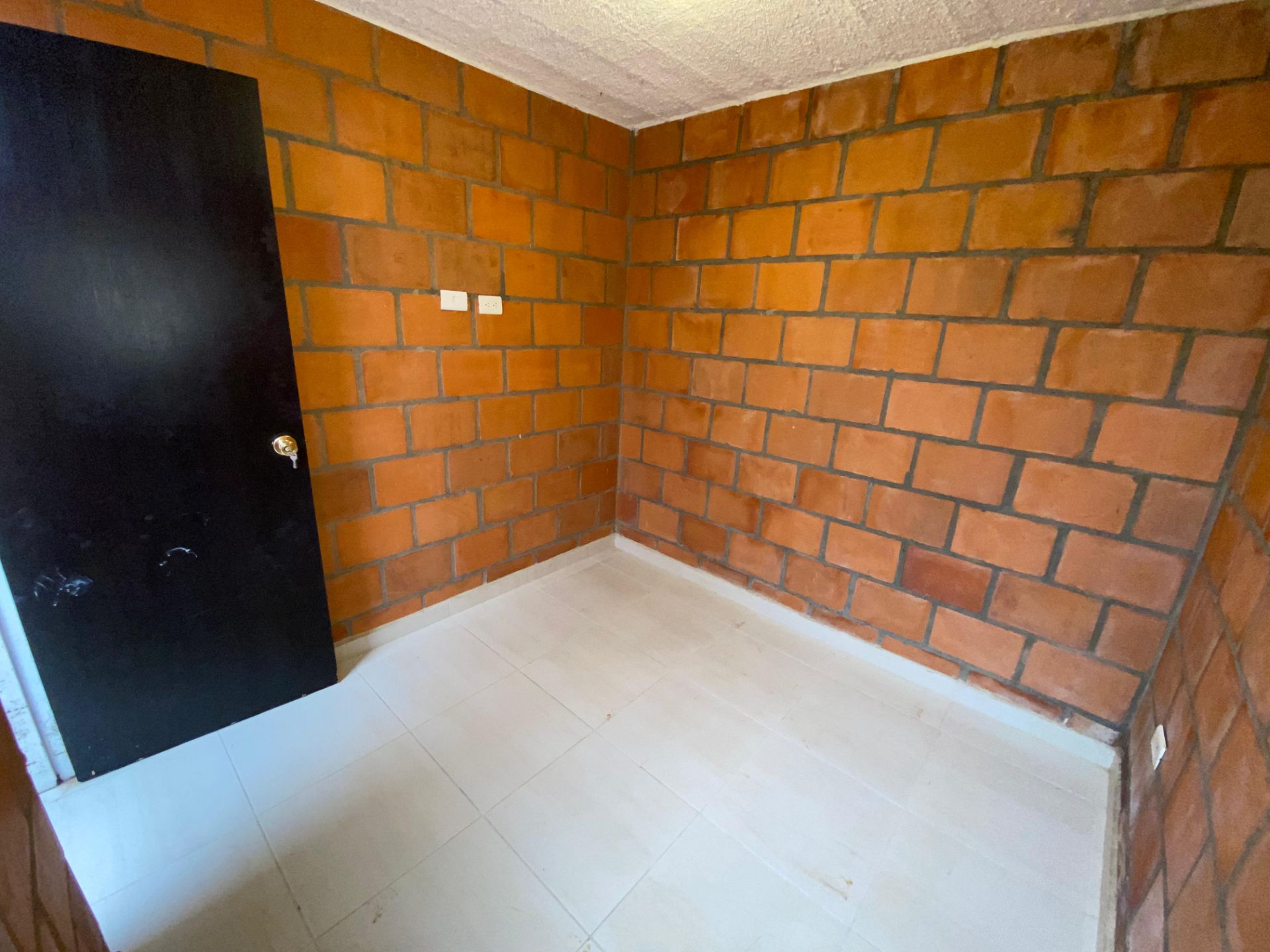 entre verdes (14).jpeg