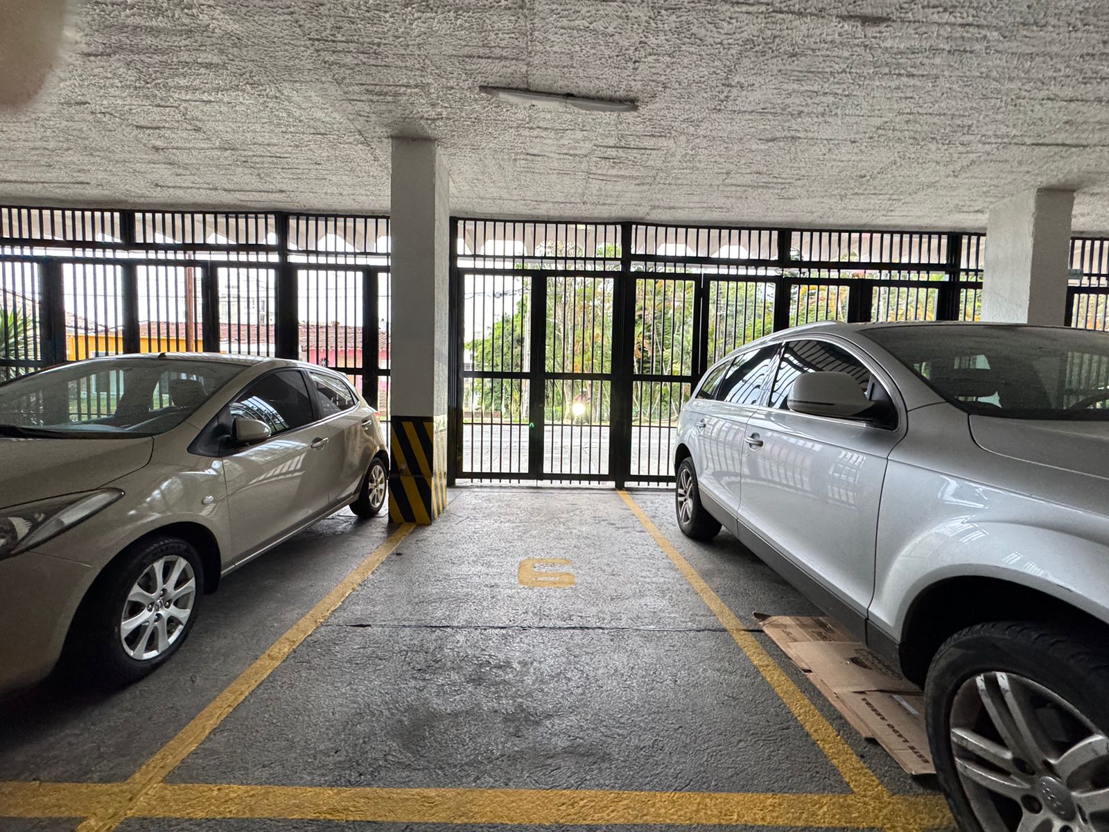 WhatsApp Image 2026-01-06 at 11.12.31 AM.jpeg