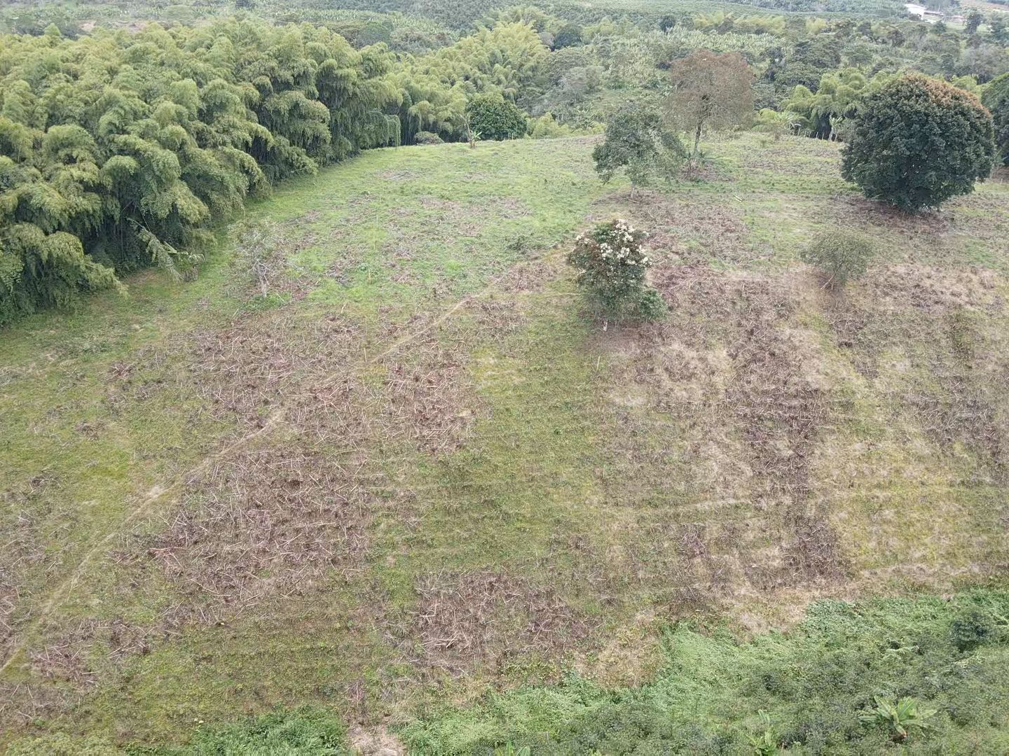 SE VENDE LOTES EN QUIMBAYA (3).jpeg