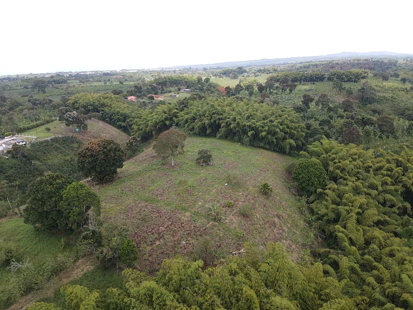 SE VENDE LOTES EN QUIMBAYA (5).jpeg