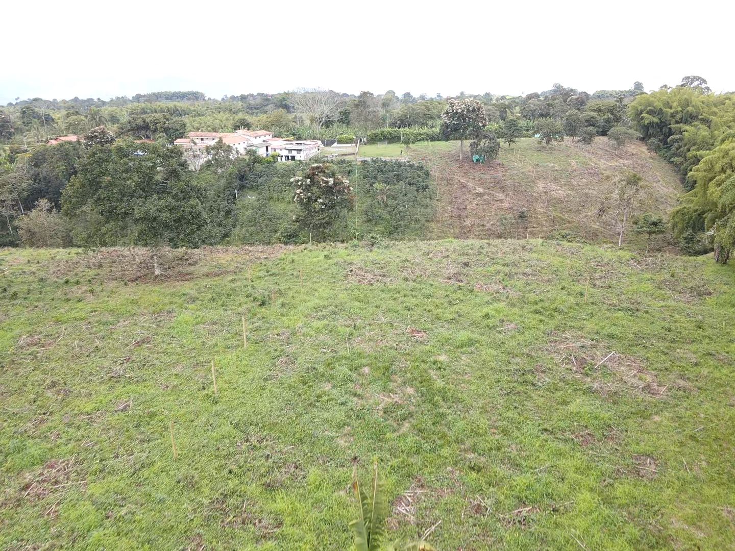 SE VENDE LOTES EN QUIMBAYA (6).jpeg