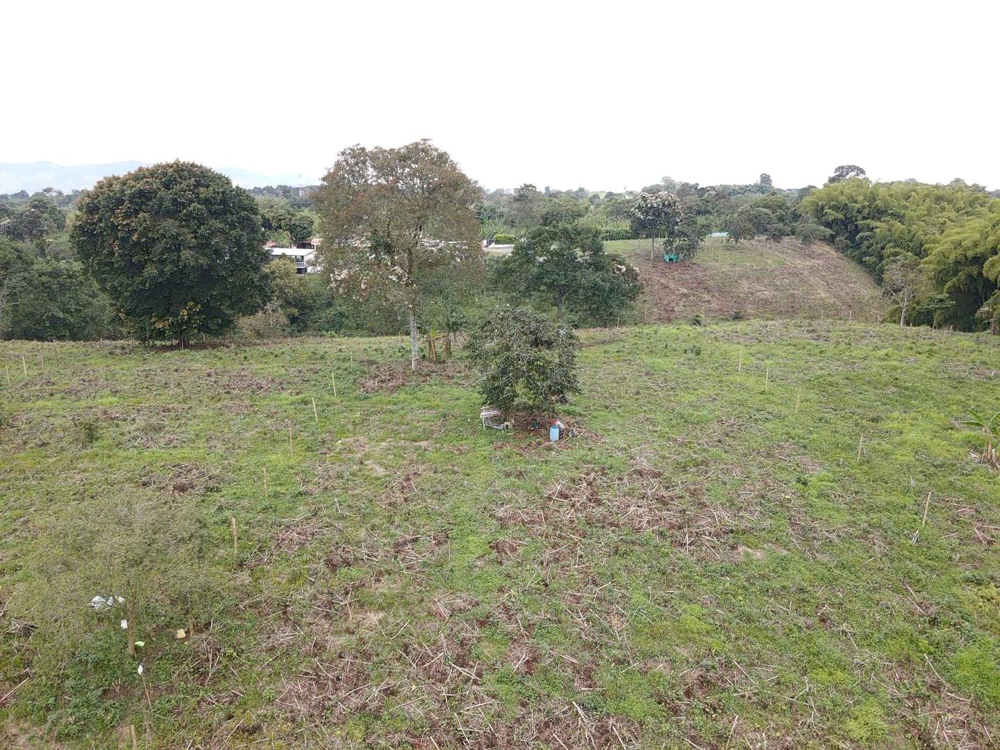 SE VENDE LOTES EN QUIMBAYA (7).jpeg