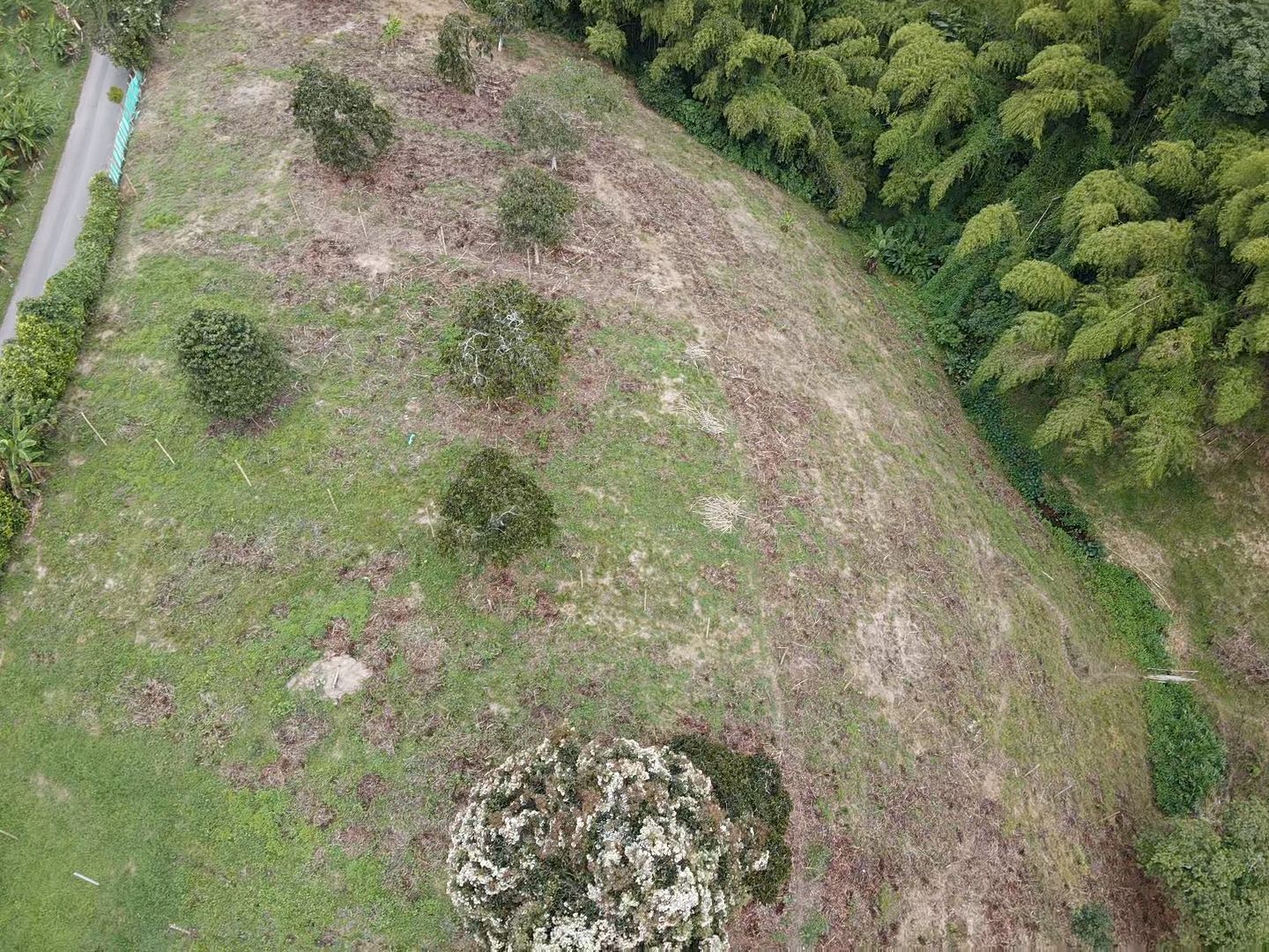 SE VENDE LOTES EN QUIMBAYA (9).jpeg