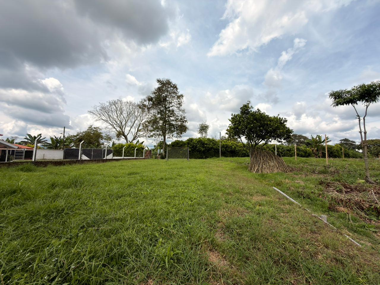 SE VENDE LOTES EN QUIMBAYA (10).jpeg