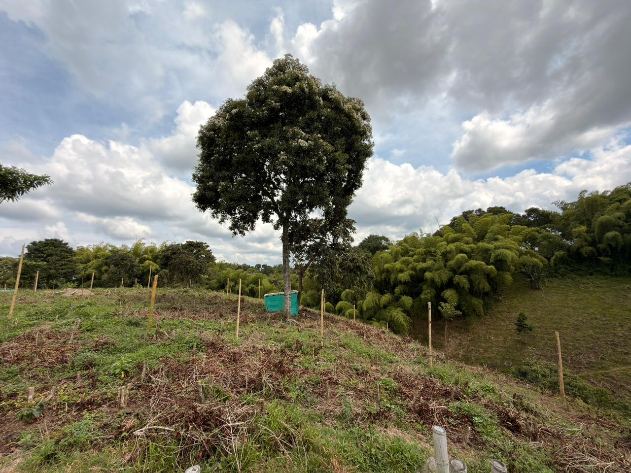 SE VENDE LOTES EN QUIMBAYA (11).jpeg