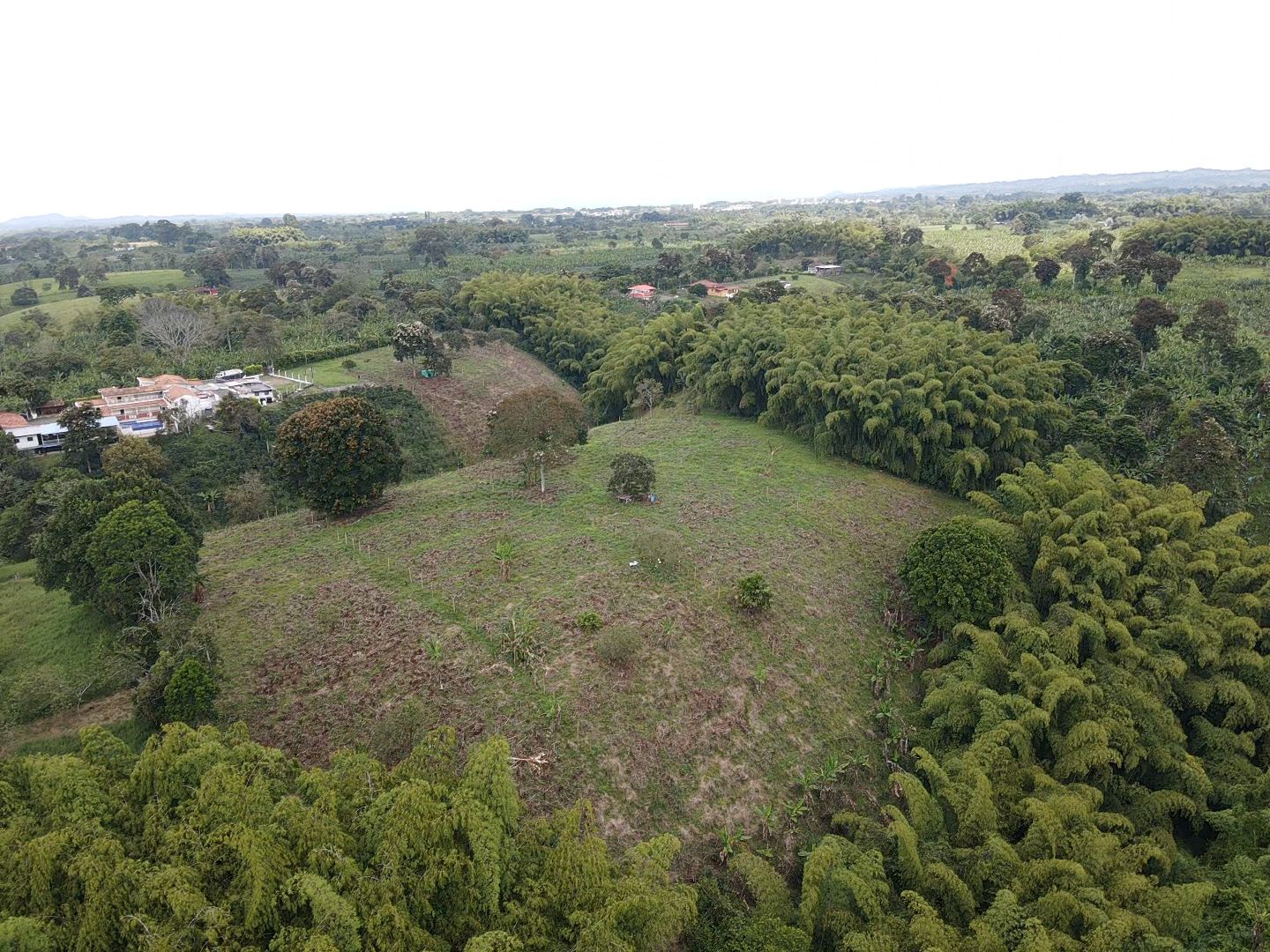 SE VENDE LOTES EN QUIMBAYA (12).jpeg