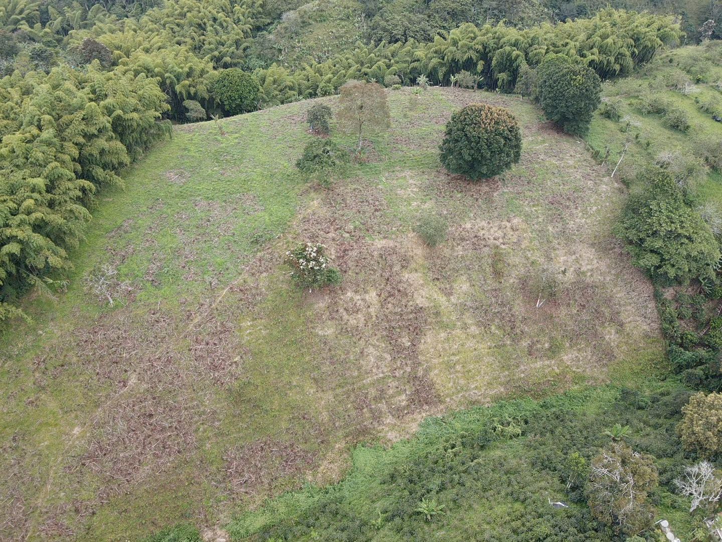 SE VENDE LOTES EN QUIMBAYA (13).jpeg