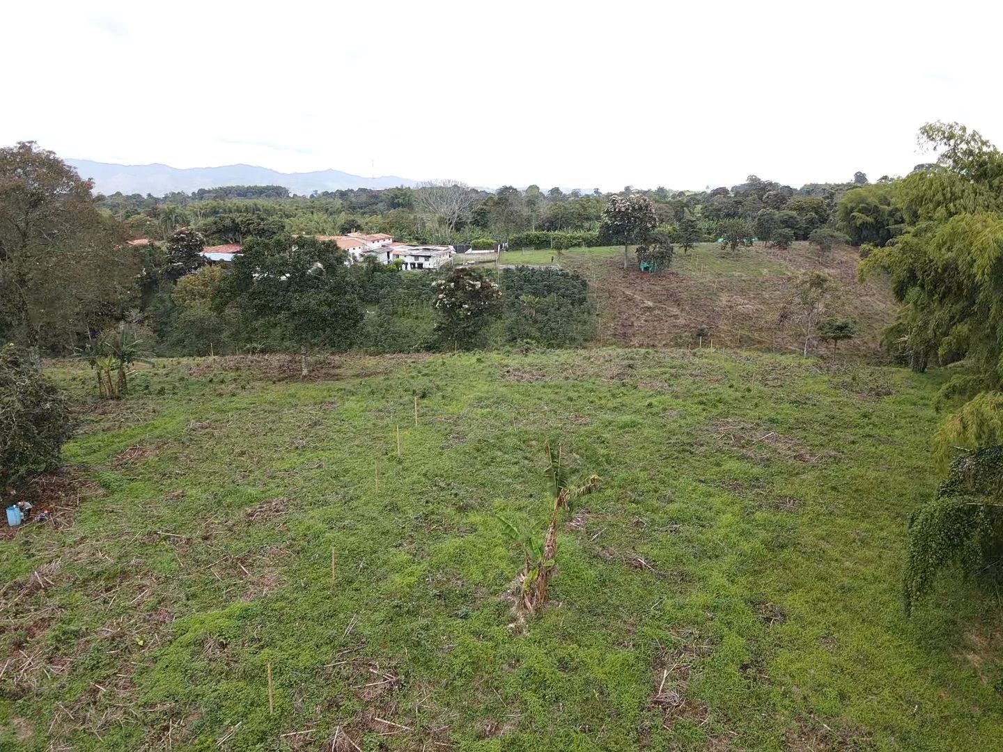 SE VENDE LOTES EN QUIMBAYA (16).jpeg