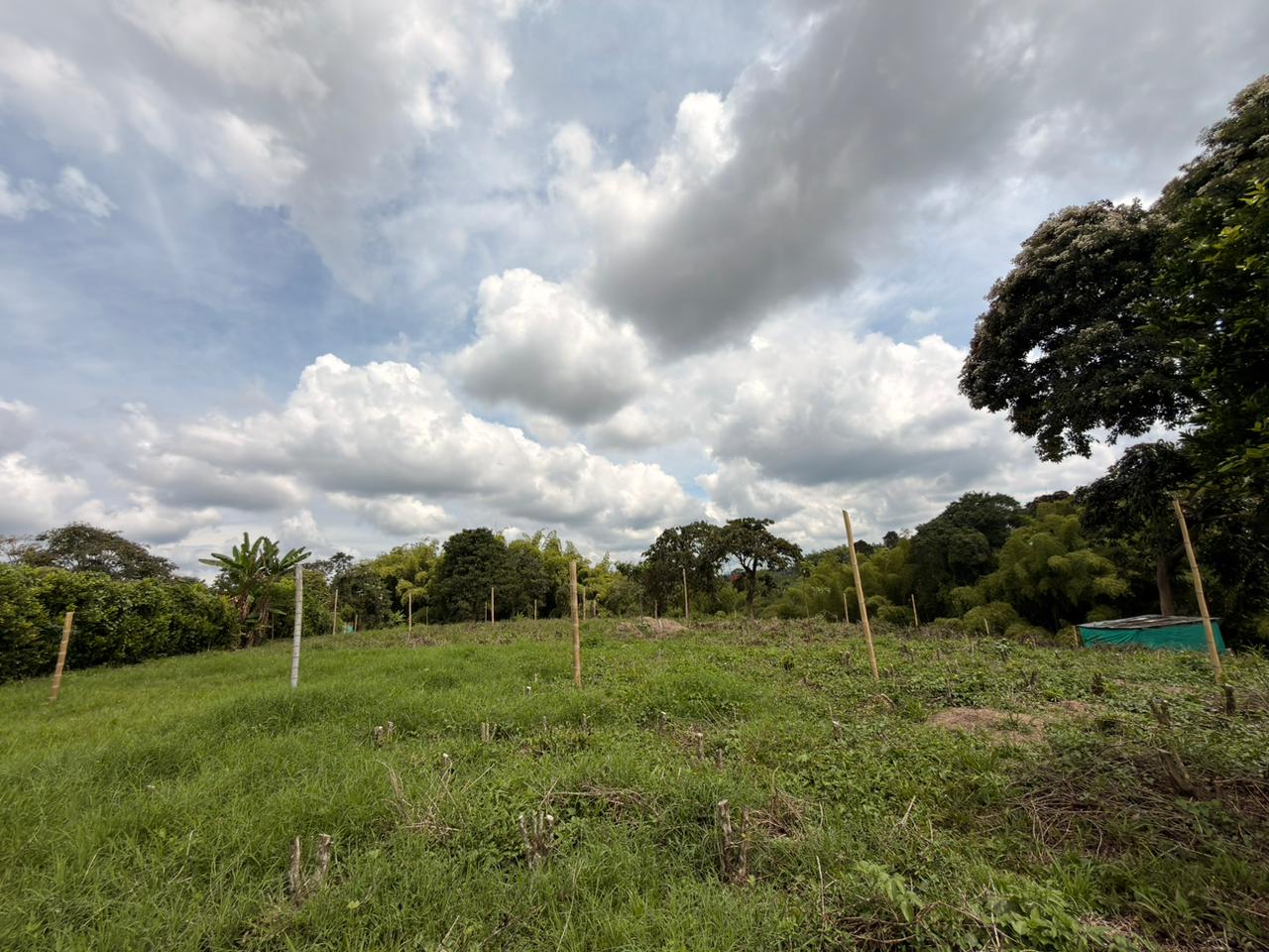 SE VENDE LOTES EN QUIMBAYA (17).jpeg