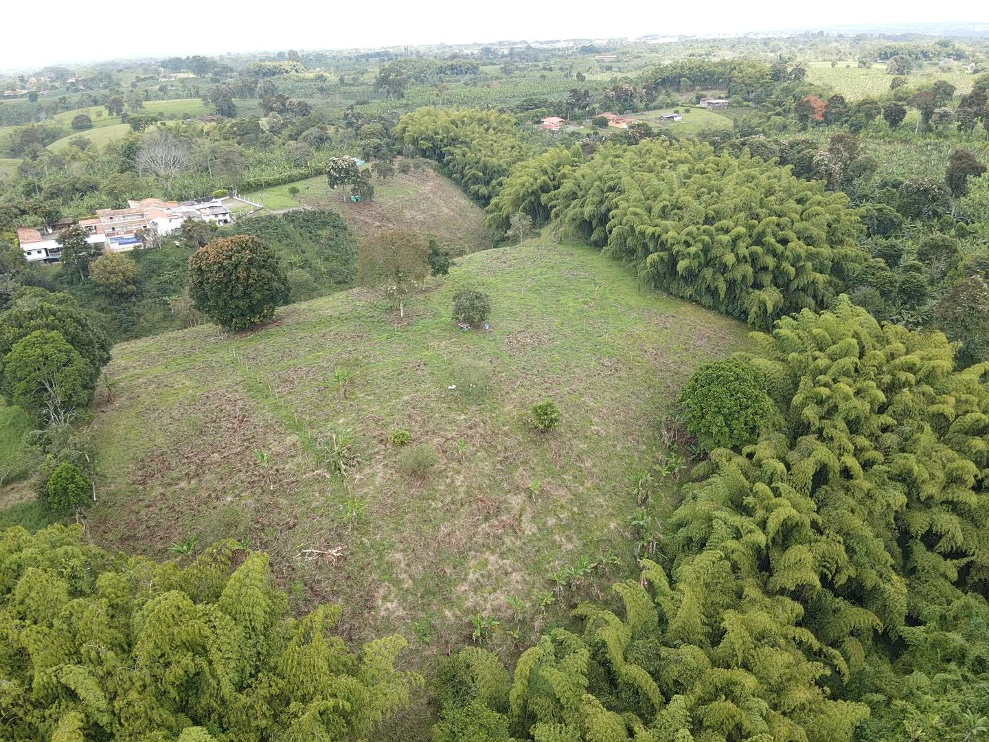 SE VENDE LOTES EN QUIMBAYA (18).jpeg