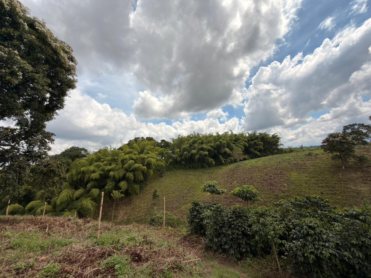 SE VENDE LOTES EN QUIMBAYA (22).jpeg