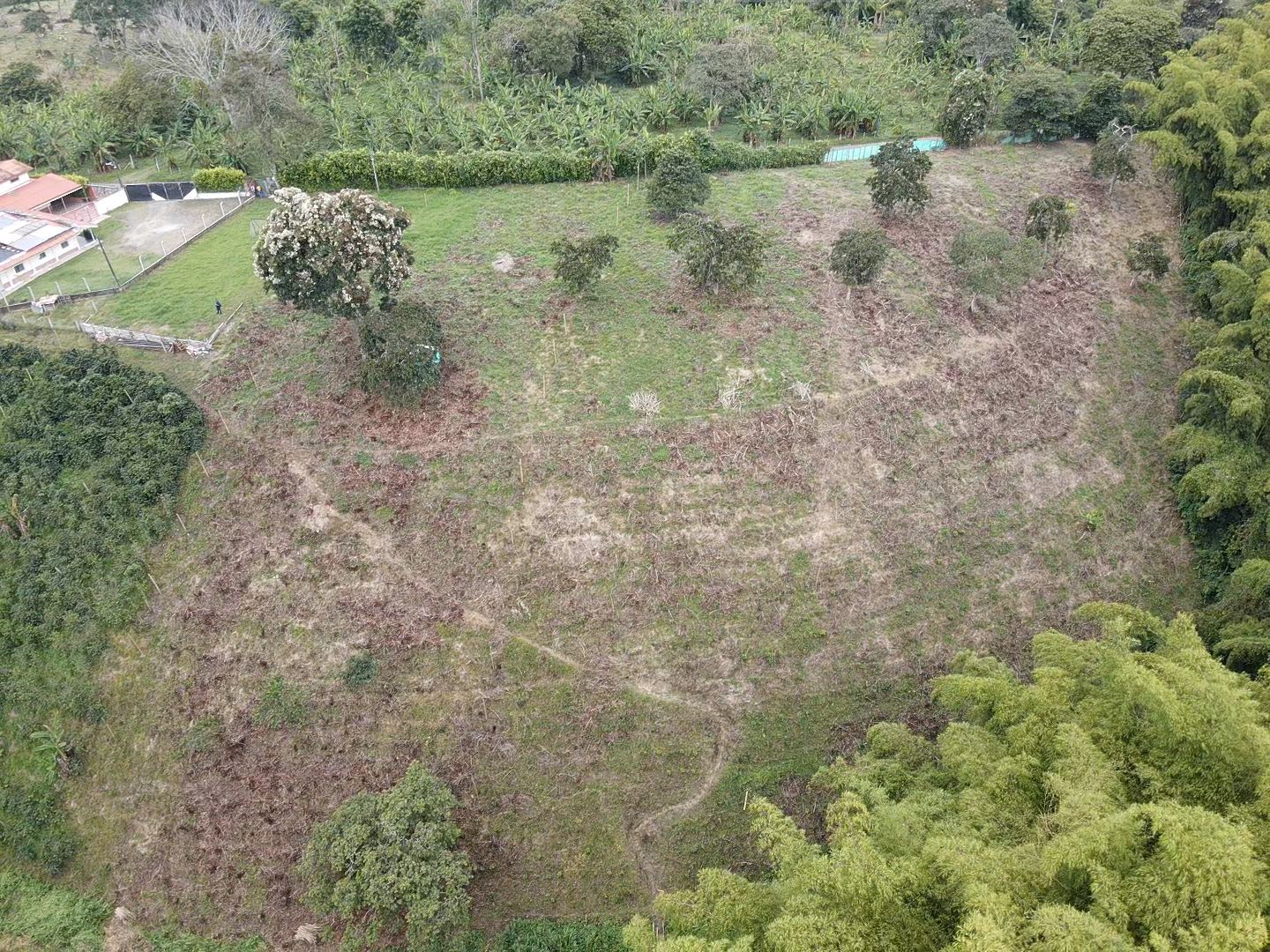 SE VENDE LOTES EN QUIMBAYA (24).jpeg