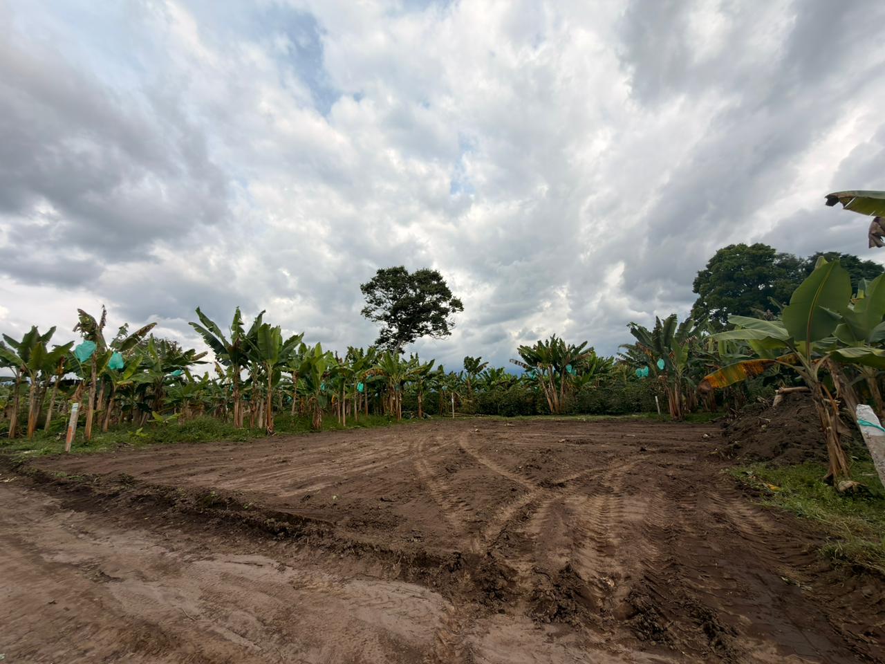 PROYECTO CAYALA 1..jpeg