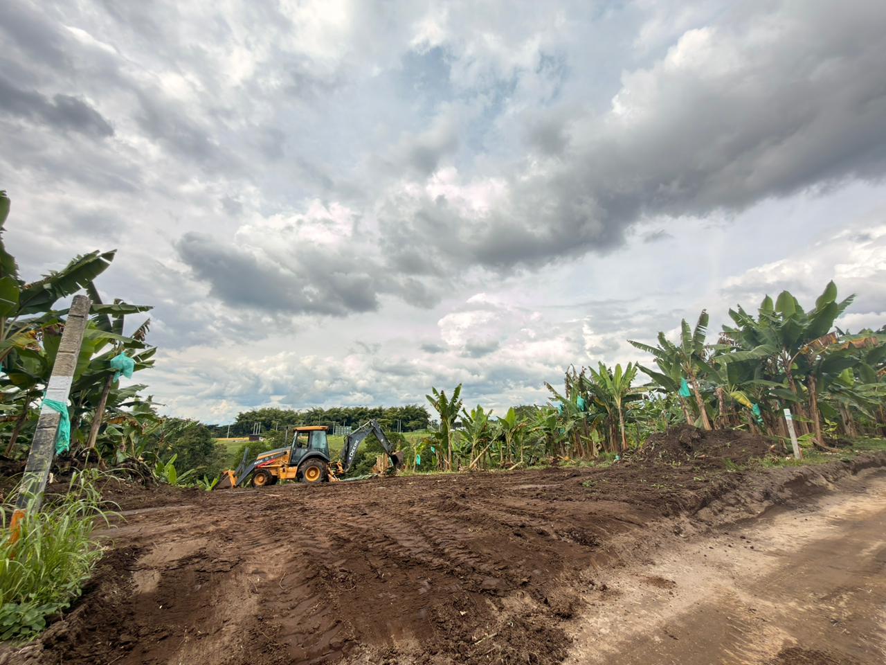 PROYECTO CAYALA 5..jpeg