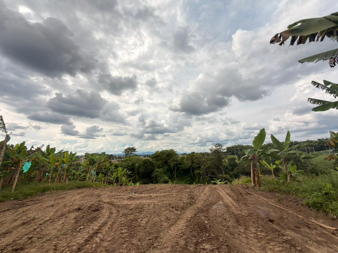 PROYECTO CAYALA 8..jpeg