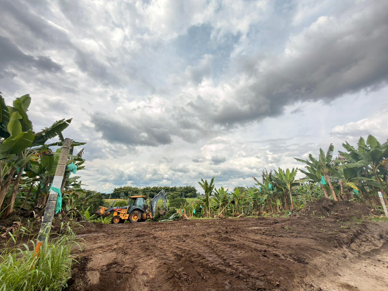 PROYECTO CAYALA 6..jpeg